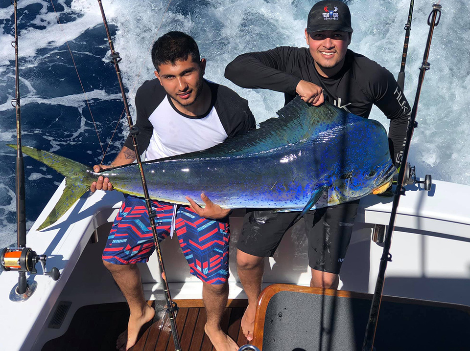 Mahi Mahi Fishing Charters in Costa Rica What You Need to Know